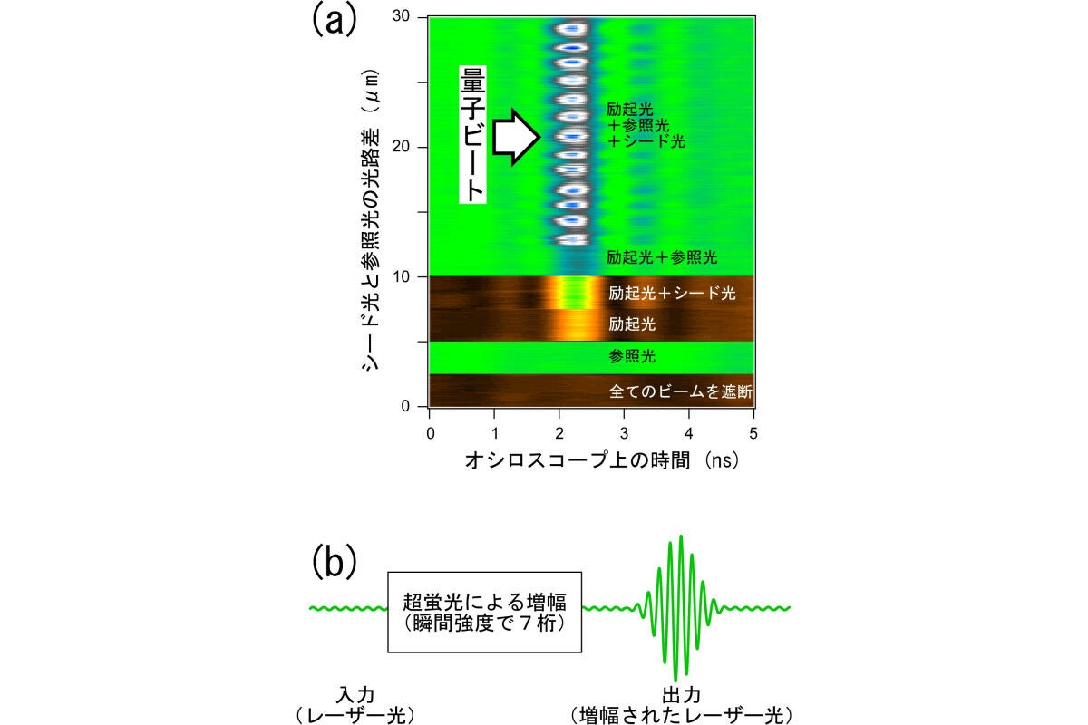 (a)レーザ光とレーザ光によって駆動された超蛍光との干渉測定による実験結果。(b)超蛍光によるレーザ光の増幅過程の模式図