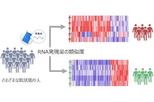 花王、皮脂RNAから遺伝子発現の特徴が異なる2種類の肌タイプを発見