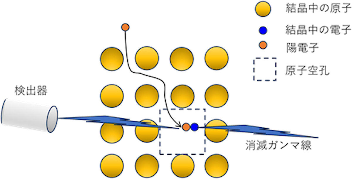 陽電子分析法のイメージ図