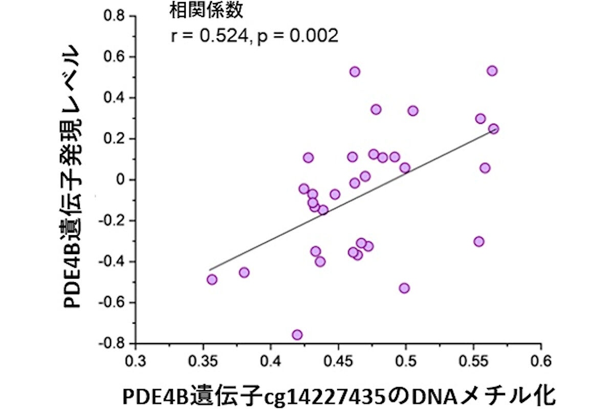 PDE4B遺伝子のDNAメチル化と発現レベルとの相関が示された散布図