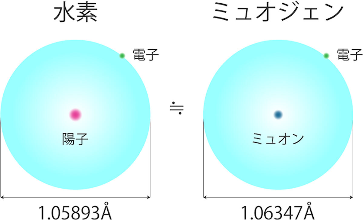 正の電荷を持つミューオンは、物質中の電子を捕獲して水素原子とよく似た擬水素(ミュオジェン)を作る