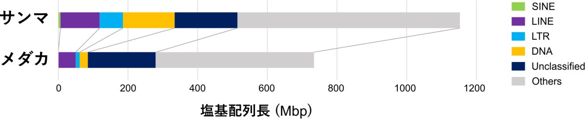 ゲノム配列中の反復配列の種類と量