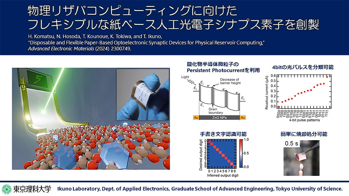 今回の研究の概要