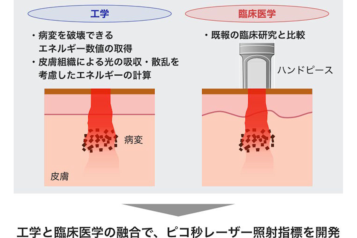 今回の研究の概要