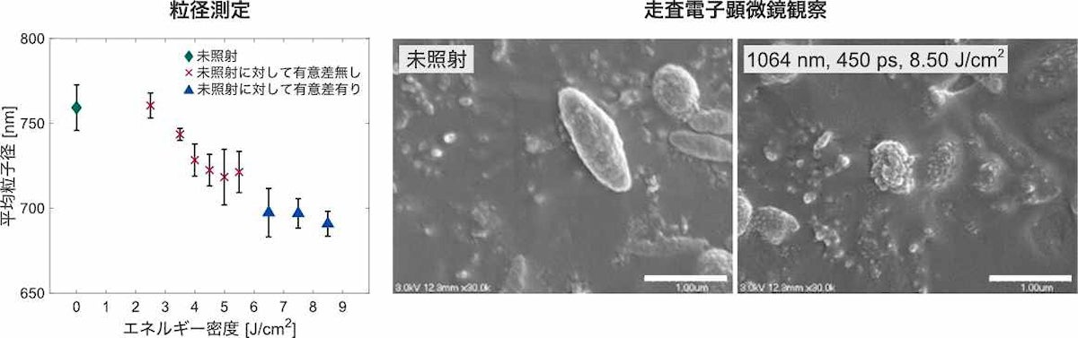 メラノソームの粒径測定