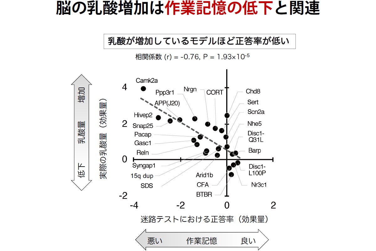 脳の乳酸増加と作業記憶の低下の関連(探索群での解析)