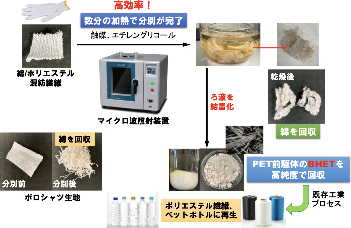 今回開発された技術の概要