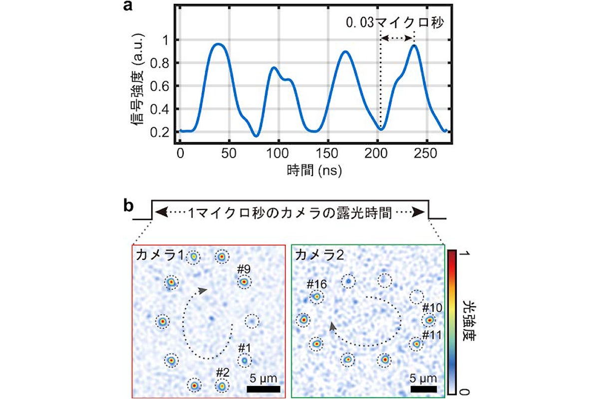 今回開発された手法の動作確認結果