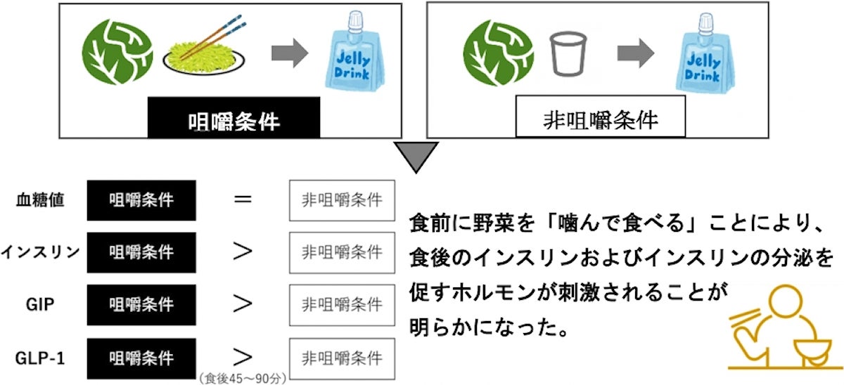 今回の研究成果の概要