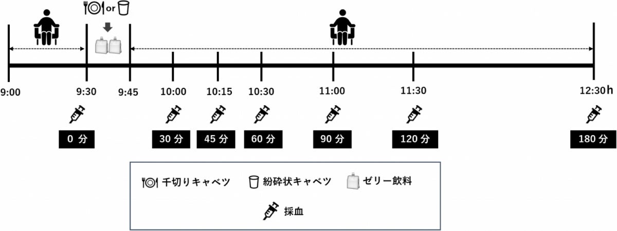 今回の研究のプロトコル図