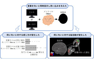 表現する言葉が変わると同じ匂いでも感じ方が変わる？ - 東大など発表