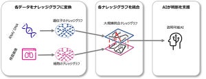富士通、異なる形式のデータを自動的に組み合わせて因果を導出する新技術