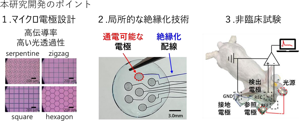 今回の研究で実現された主な成果