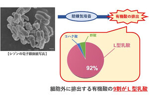 明大、温泉紅藻「シゾン」を用いた高効率なL型乳酸の生産技術を開発