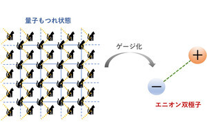 京大など、準粒子「エニオン」の新型を系統的に記述する理論的枠組みを構築