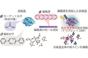 徳島大など、室温で核スピンの向きを揃えられる分子種を増やす新技術を開発