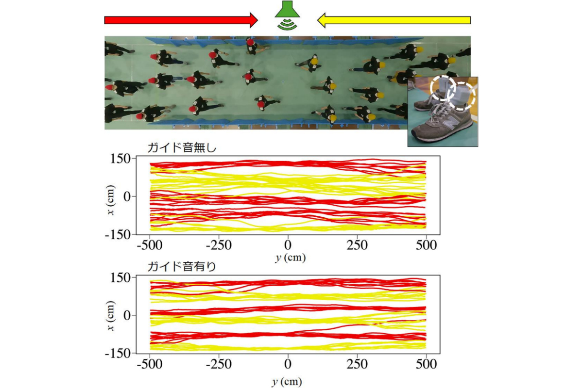 レーン形成実験を真上から見た様子