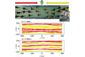 歩行者集団の足並みがバラバラな方が壊れにくい流れを形成できる、京工繊などが確認