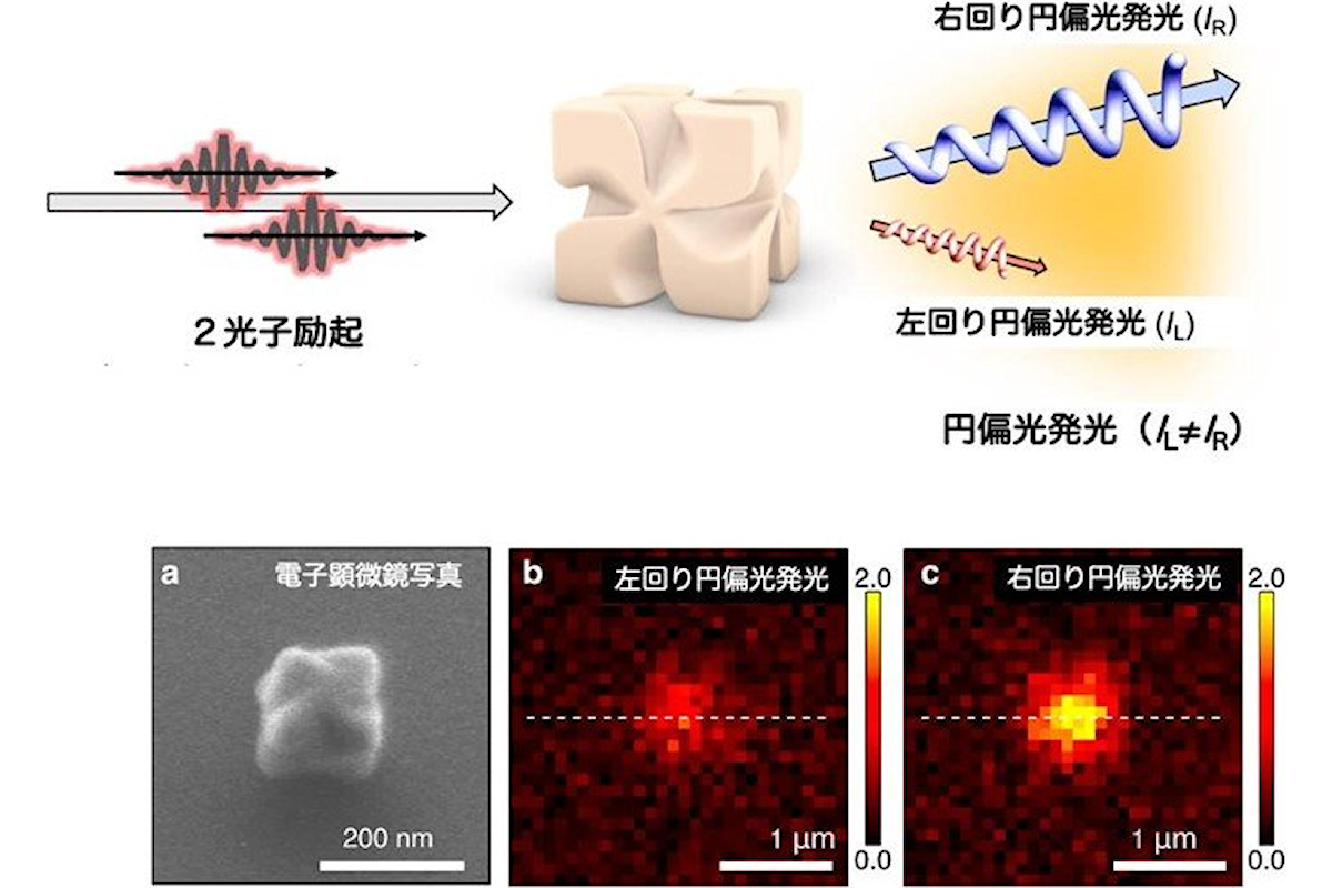 (上段)実験スキーム。(下段)キラル金ナノ微粒子の走査型電子顕微鏡画像と、左回り・右回りそれぞれの円偏光発光を検出した顕微鏡のイメージ