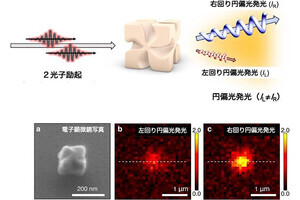 分子研など、金ナノ粒子が円偏光の左右選択性を70倍に高めることを発見