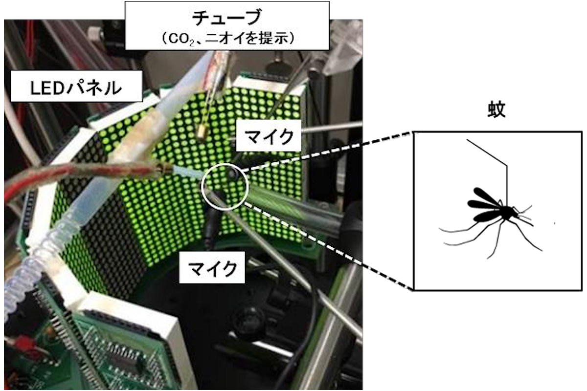 今回構築された仮想空間