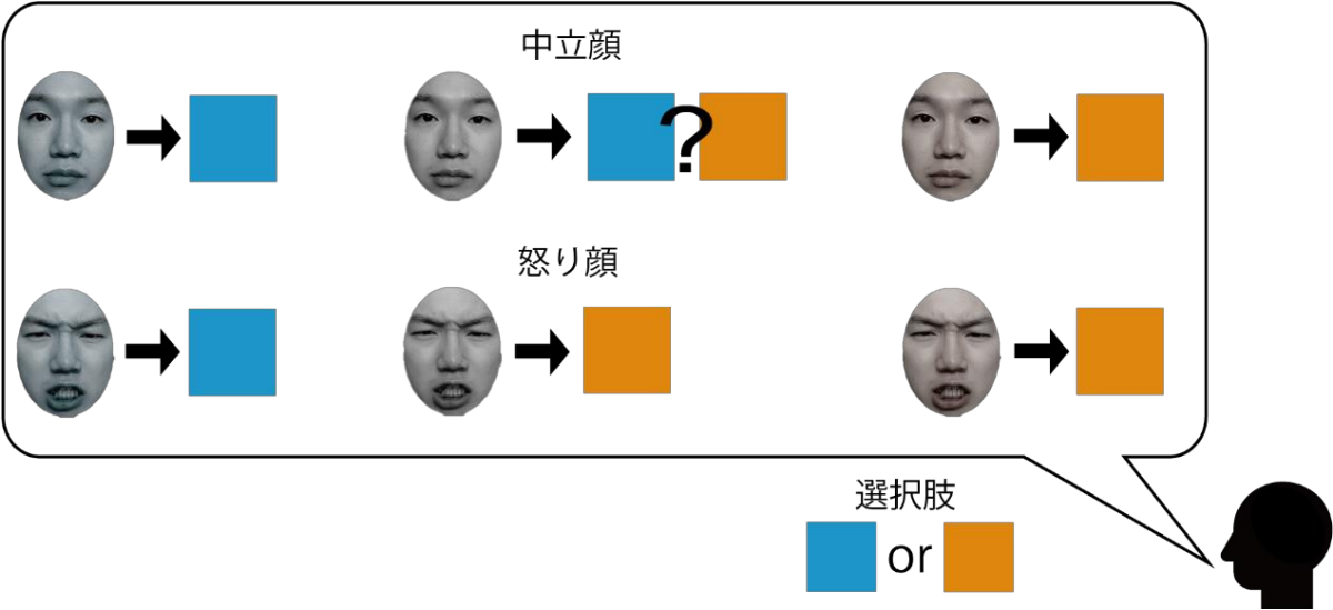 無彩色な顔色を選択させると、怒り顔の場合「典型色」と答えやすいことが判明