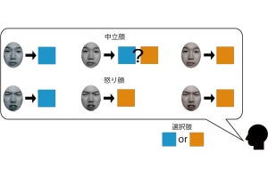 表情が顔色の認識に与える影響とは？ - “記憶色効果”と表情の関係