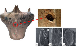 中央大など、土器に縄文時代の種子が意図的に埋め込んであることを確認