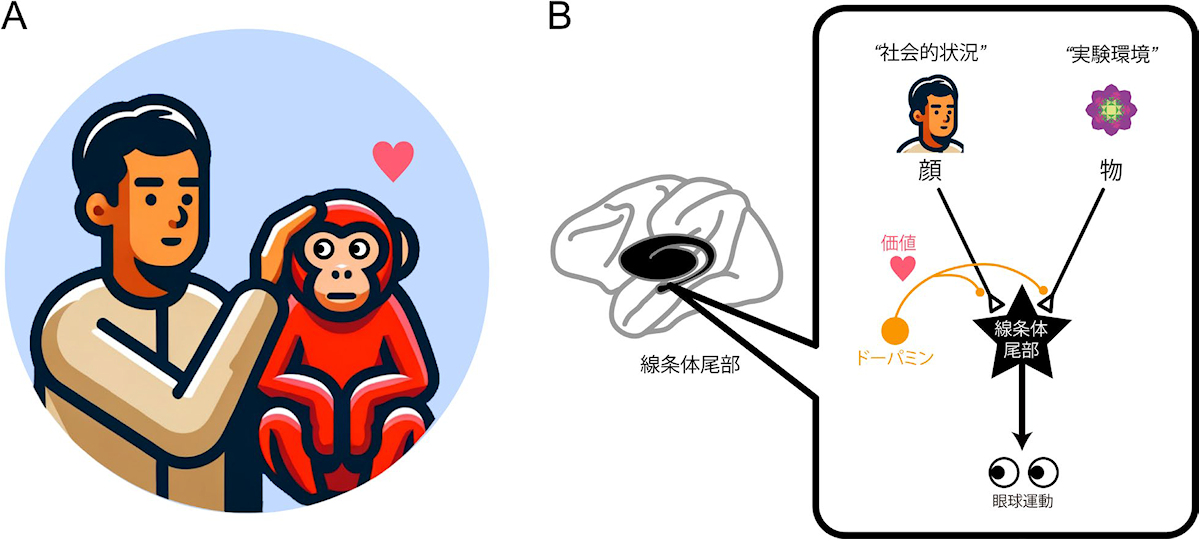 今回の実験の概要
