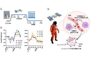 筑波大、ISS滞在中に宇宙飛行士の体内深部で起こる変化を捉えることに成功