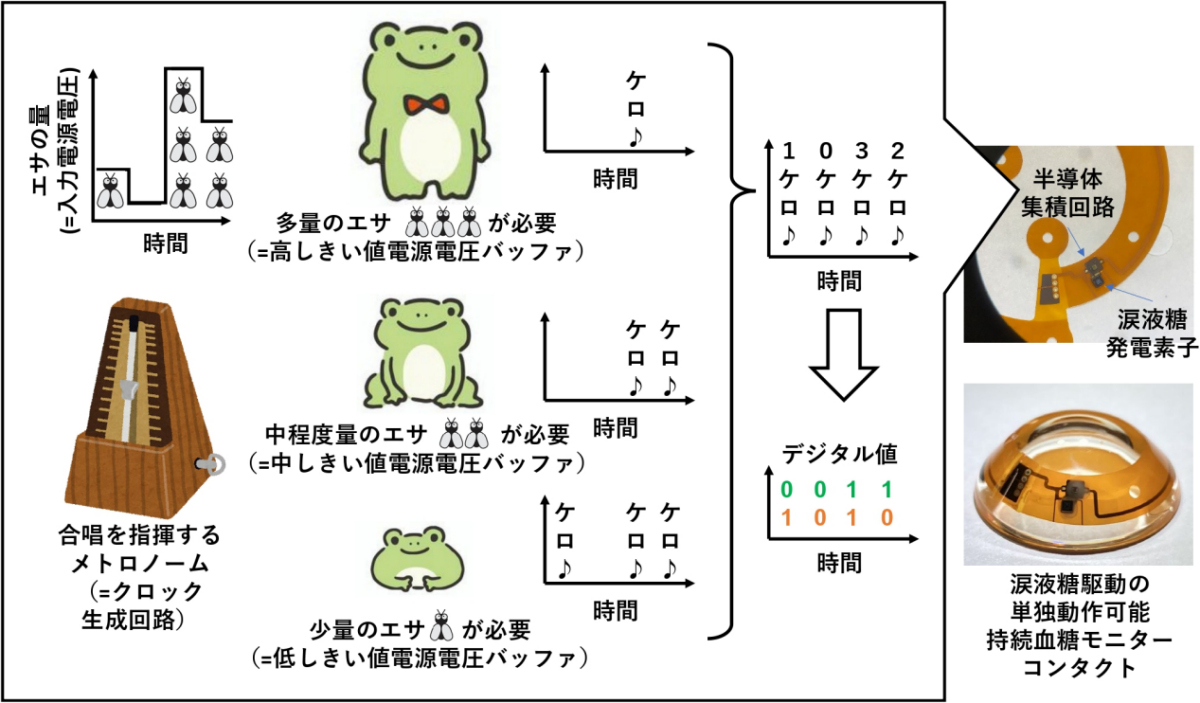 今回の研究開発のイメージ