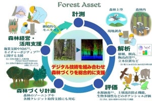 鹿島、森林内自律飛行ドローンを活用した森林の付加価値を評価する技術を開発