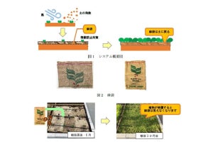 コーヒー豆運搬用の麻袋を屋上緑化に活用するシステム、東急建設などが開発