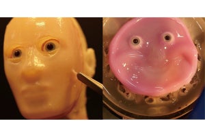 東大、培養皮膚を使用した細胞由来の生きた皮膚を持つ顔型のロボットを開発