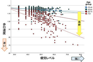 高齢者の疲労感が歩行速度や握力などの低下と関連、畿央大が確認