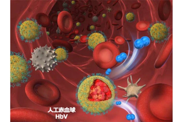 緊急投与可能な「人工赤血球製剤」の実用化に向け臨床試験、奈良県立医科大