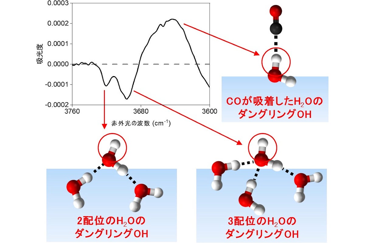 氷表面に存在する3種類のDOHの模式図