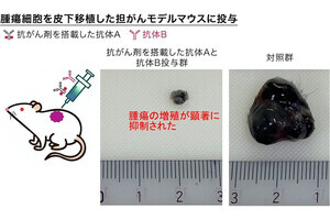 近大、薬剤を高効率に取り込みがんの増殖をほぼ完全に抑制させる手法を開発