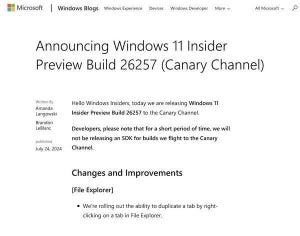 Windows 11 Insider Preview Build 26257リリース、マウス設定の詳細な制御が可能に