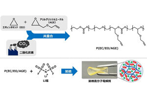 農工大、全固体リチウム電池用の固体電解質を高分子を用いて実現