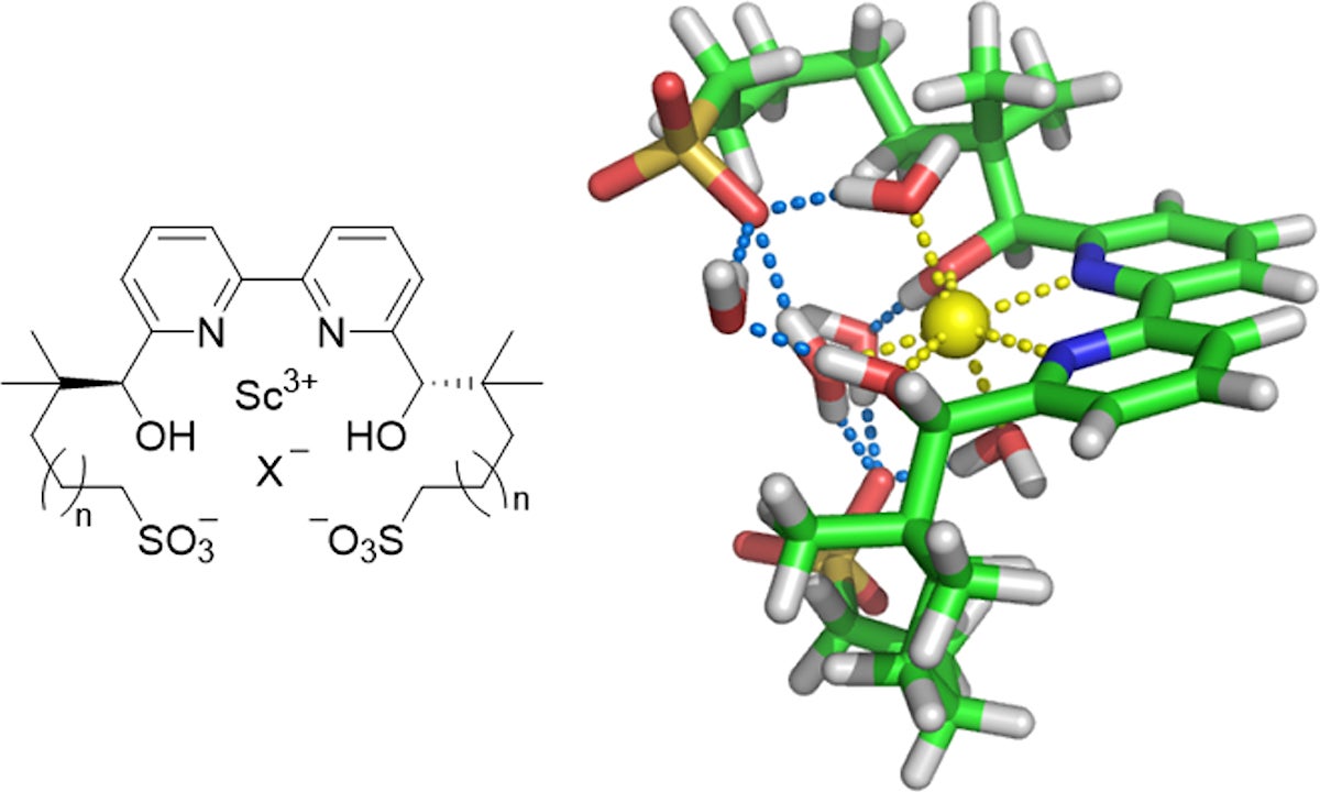 設計したスカンジウム錯体の基本骨格とその水中構造モデル