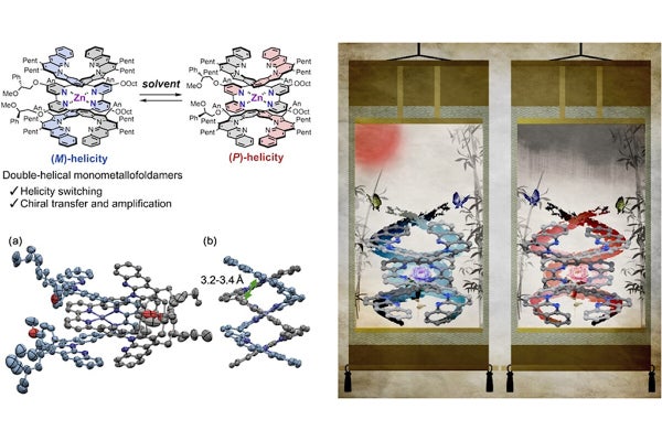 理科大、二重螺旋の巻き方向を反転させられる亜鉛単核錯体の合成に成功