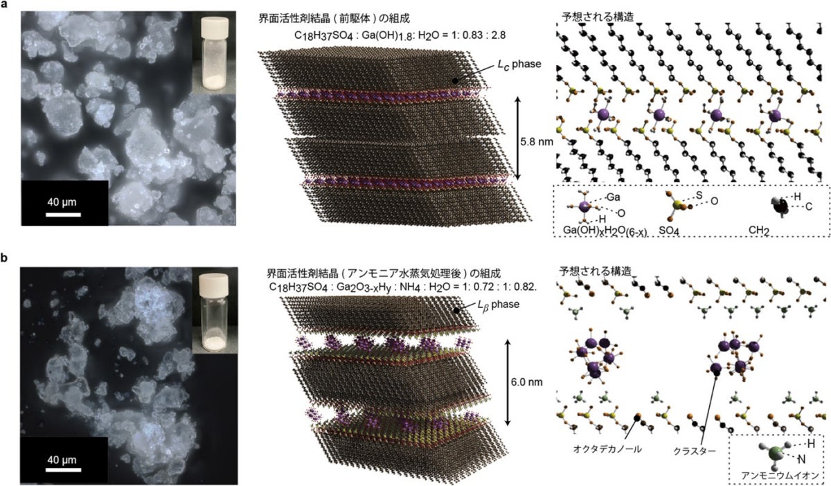 界面活性剤と金属イオンを混合した際に形成する層状結晶とアンモニア水蒸気処理後に形成する結晶