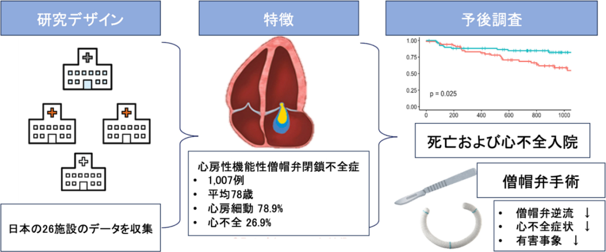 心房性機能性僧帽弁逆流症の特徴と転帰