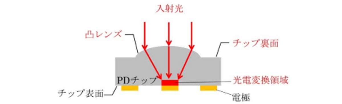 裏面入射型構造と凸レンズ集積構造を採用したPDチップ断面構造と入射光