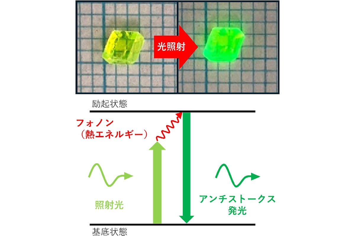 今回の研究で用いられた試料