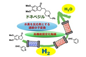 東大、水素を用いた新規合成法で抗アルツハイマー薬の前駆体の合成を実証