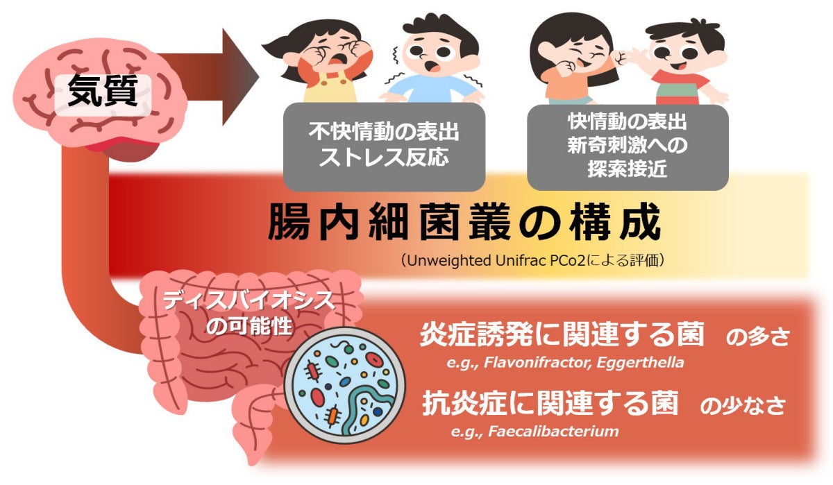 今回の研究の概要