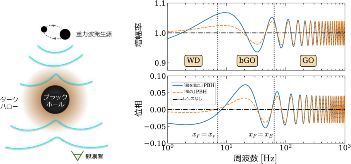 銀河系より遙かに遠くで起こった2つのブラックホールの合体からの重力波が、“服を着た”原始ブラックホールの重力レンズにより回折する模式図