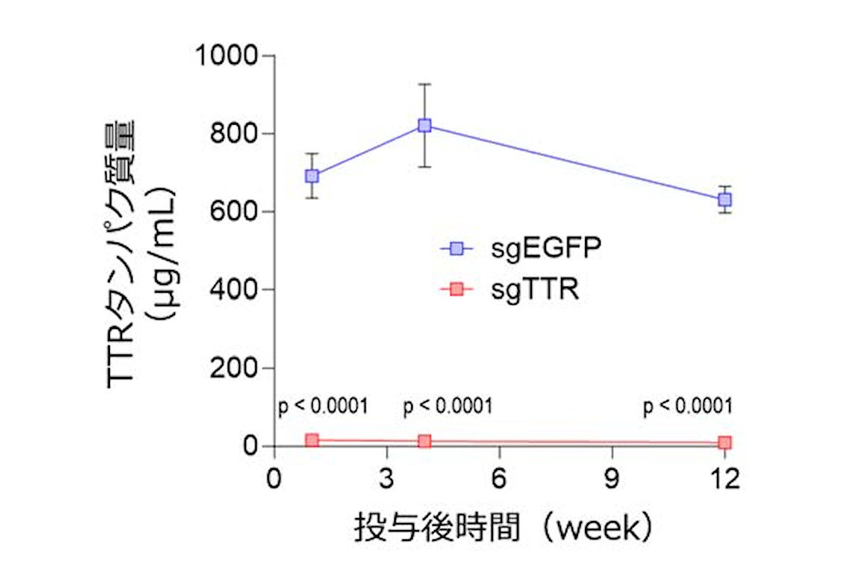 ζ含有CRISPR-LNPによるゲノム編集効果の持続性